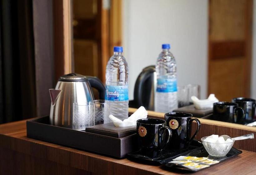 هتل Villa Homey Inn , Srinagar