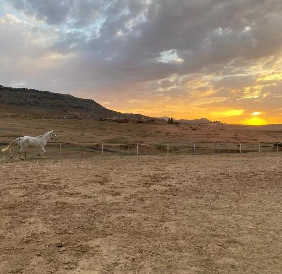 هتل Les Cavaliers Chez Yassine