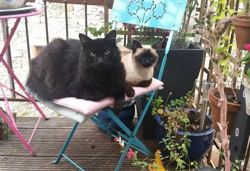 Majatalo Les Chambres Des Artistes