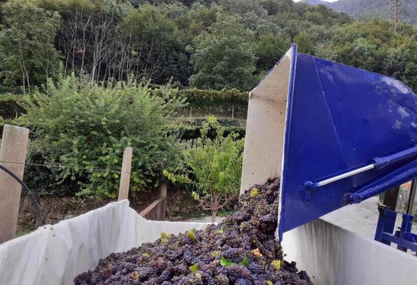 ホテル La Caigola