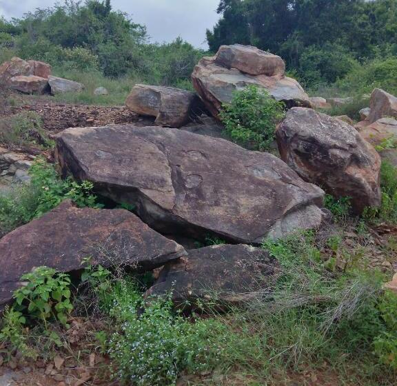 Pensão Why Not Guesthouse