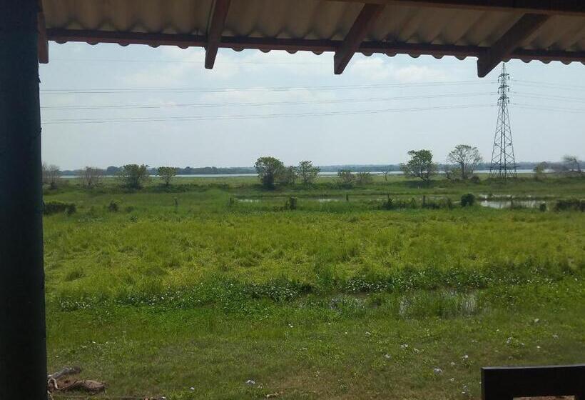 Pensão Why Not Guesthouse