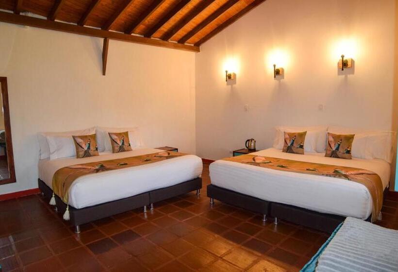 فندق صغير Dreamer Cocora