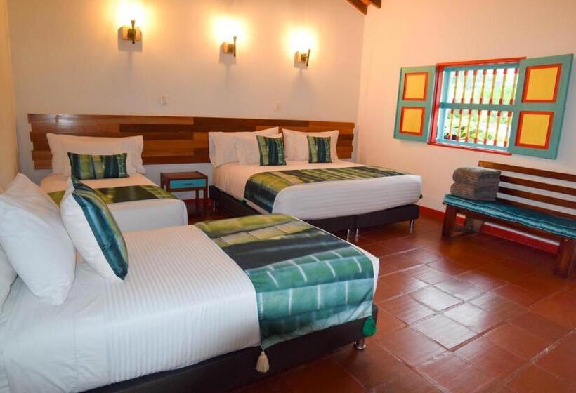 فندق صغير Dreamer Cocora