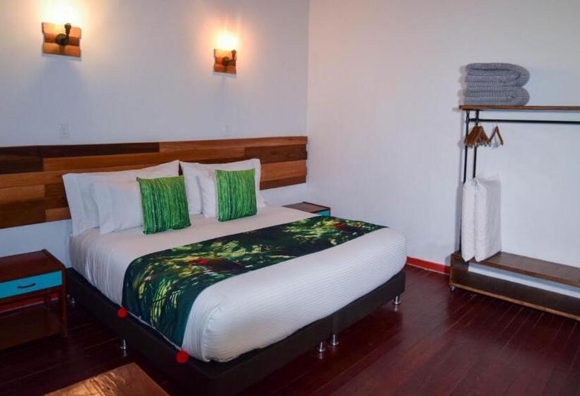 فندق صغير Dreamer Cocora