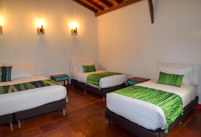 فندق صغير Dreamer Cocora