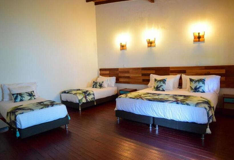 فندق صغير Dreamer Cocora