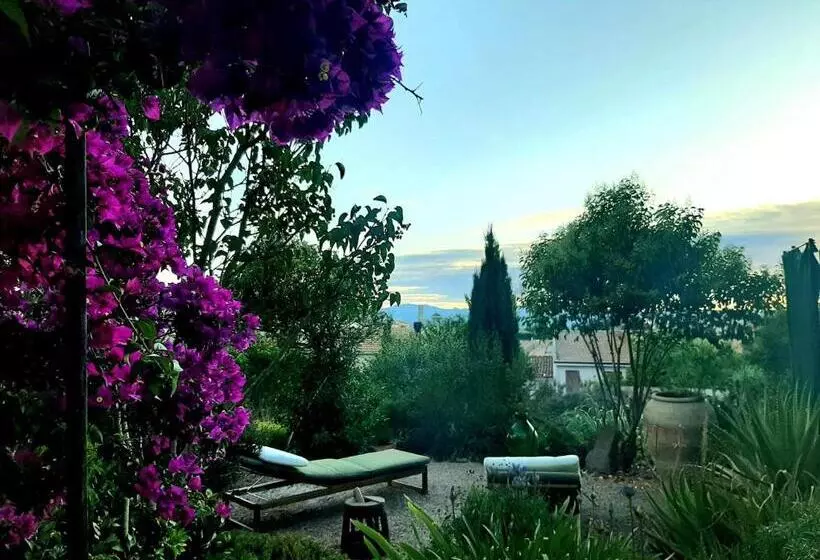 B&b Il Giardino Del Barone