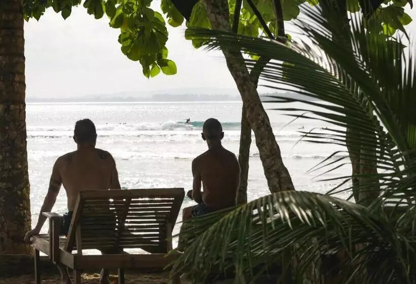 Aamiaismajoitus (B&B) Carve Bay Mentawai