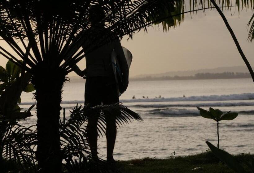 Nocleg ze śniadaniem Carve Bay Mentawai