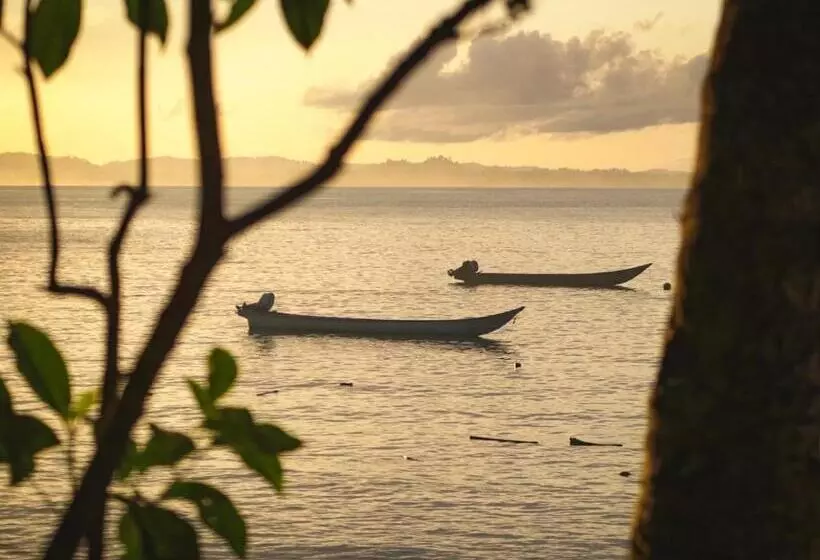 Aamiaismajoitus (B&B) Carve Bay Mentawai