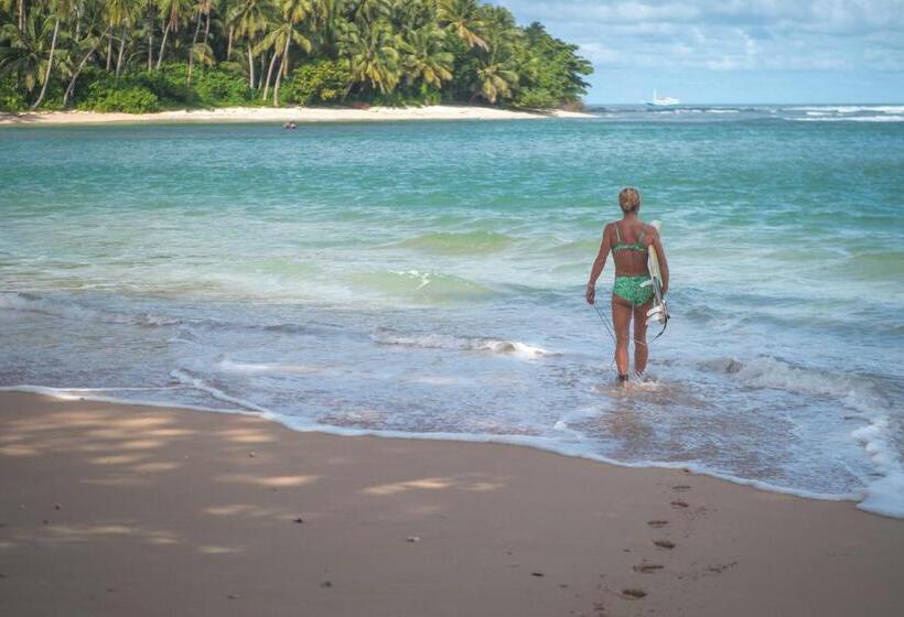 Nocleg ze śniadaniem Carve Bay Mentawai