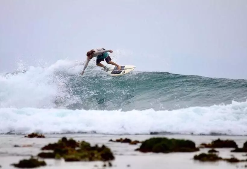 Aamiaismajoitus (B&B) Carve Bay Mentawai