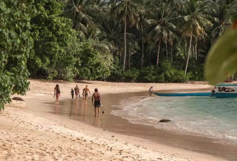 Aamiaismajoitus (B&B) Carve Bay Mentawai