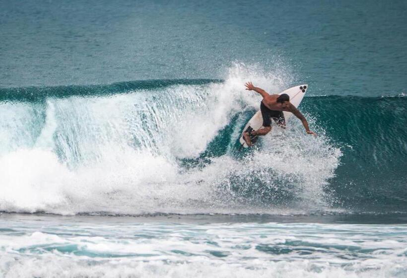 Nocleg ze śniadaniem Carve Bay Mentawai