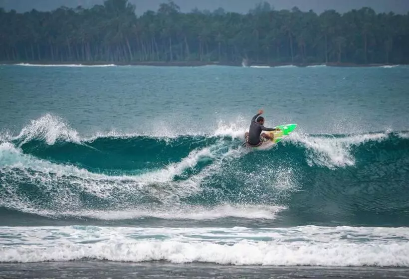 Aamiaismajoitus (B&B) Carve Bay Mentawai