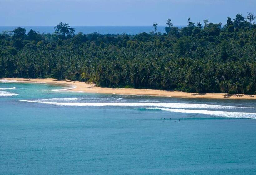 Nocleg ze śniadaniem Carve Bay Mentawai