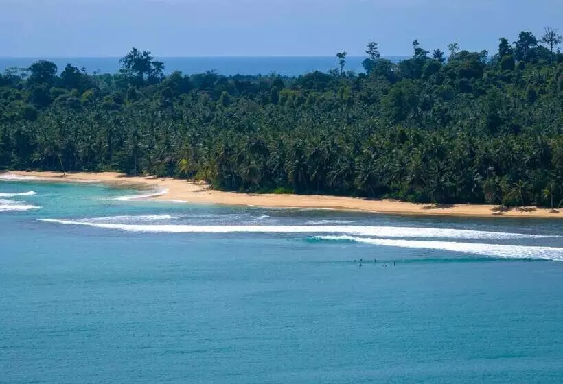 Aamiaismajoitus (B&B) Carve Bay Mentawai