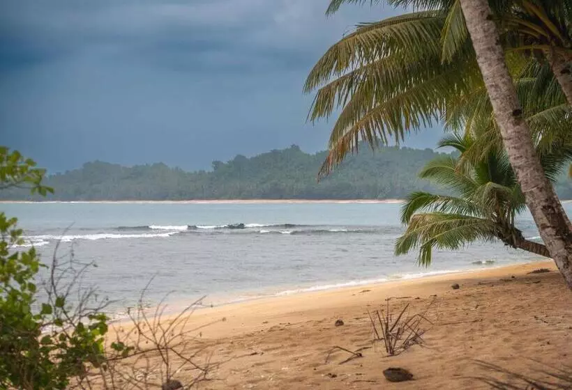 Aamiaismajoitus (B&B) Carve Bay Mentawai