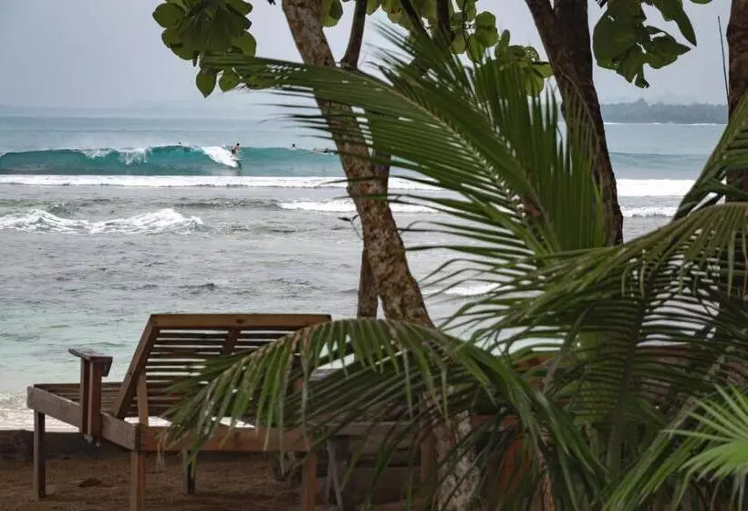 Aamiaismajoitus (B&B) Carve Bay Mentawai