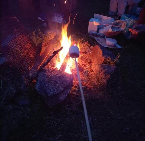 צימר La Roulotte Du Clos De L Isop