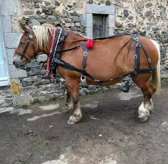 Aamiaismajoitus (B&B) La Roulotte Du Clos De L Isop
