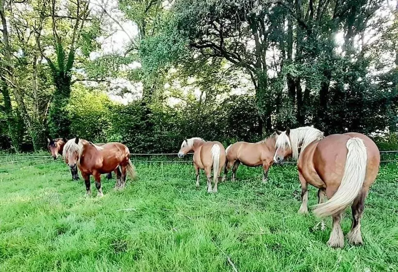 Aamiaismajoitus (B&B) La Roulotte Du Clos De L Isop