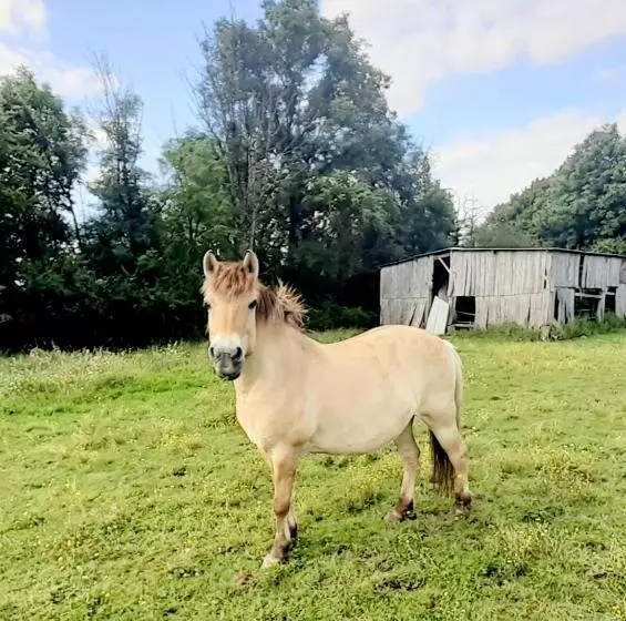 Aamiaismajoitus (B&B) La Roulotte Du Clos De L Isop