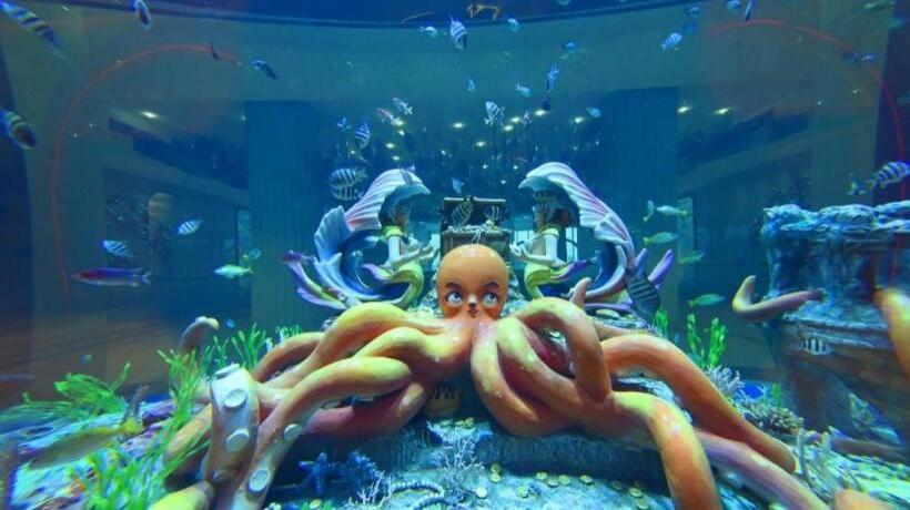 Отель Dolphin Bay