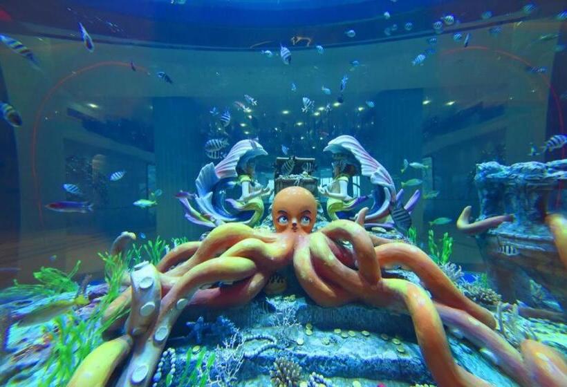 Отель Dolphin Bay