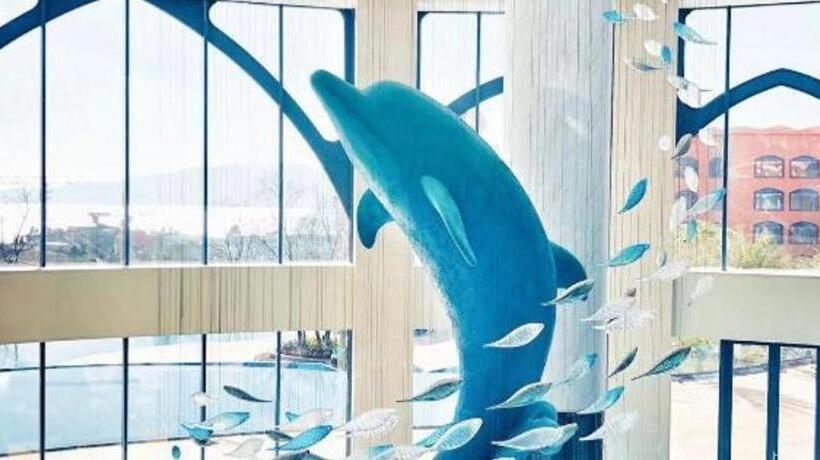 Отель Dolphin Bay