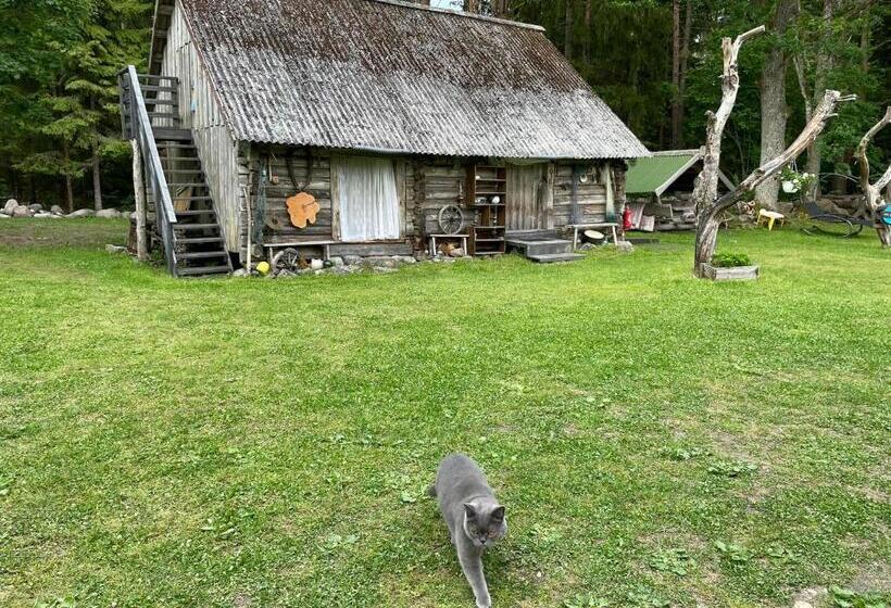 هتل Tammemäe Ait