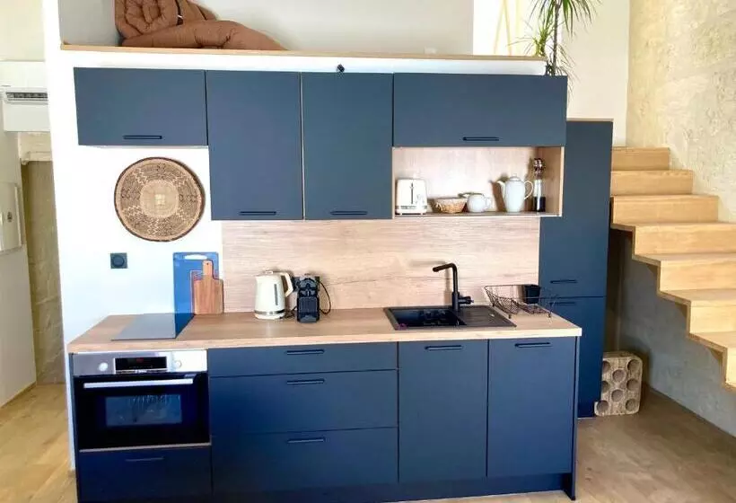 ベッドアンドブレックファースト Le Petit Avignon   Chambres & Appartement à Deux Pas Du Pont D Avignon Et Du Palais Des Papes