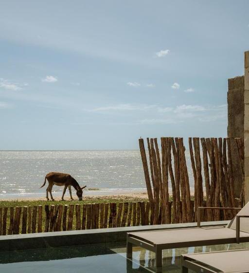 בית מלון כפרי Koloa Concept