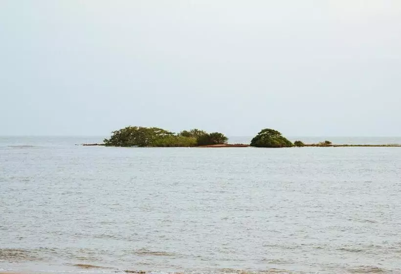 ホテル Koloa Concept