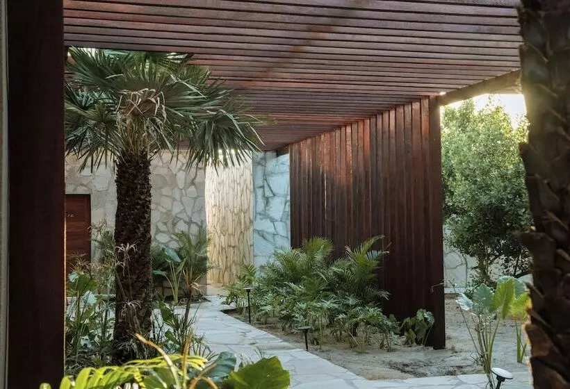 ホテル Koloa Concept