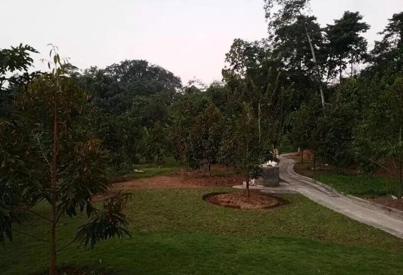 Majatalo Kubu D  Teba