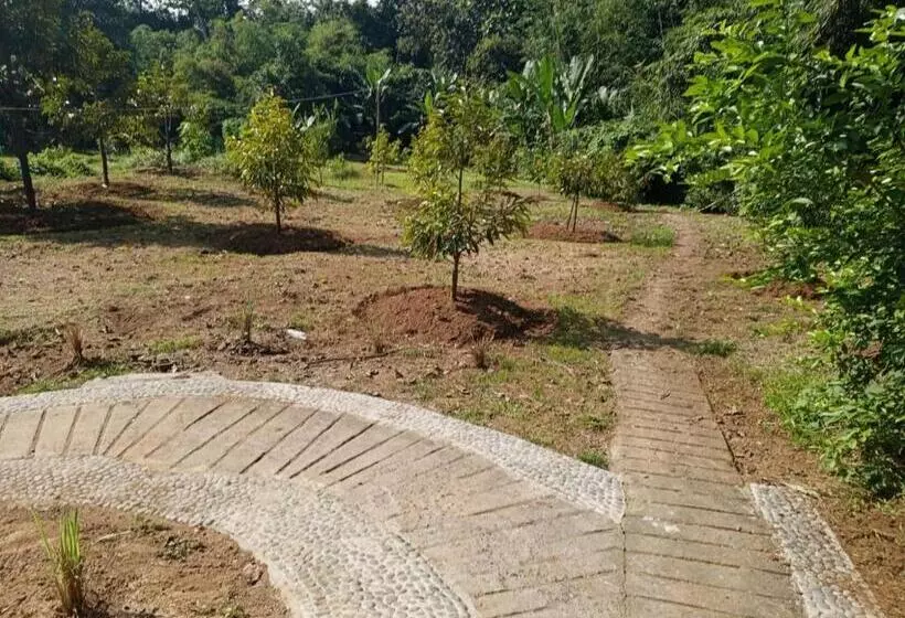 Majatalo Kubu D  Teba