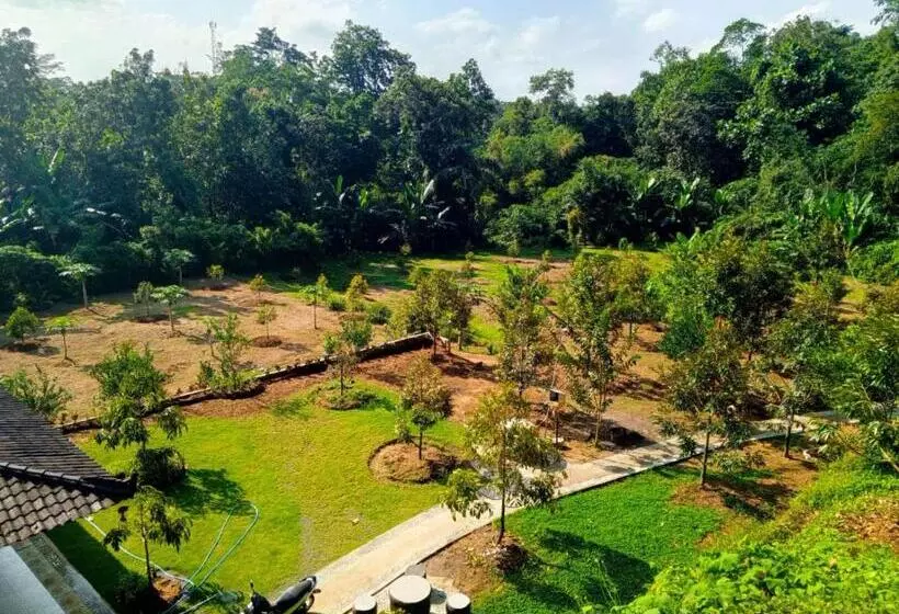 Majatalo Kubu D  Teba