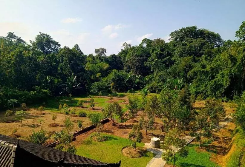 Majatalo Kubu D  Teba