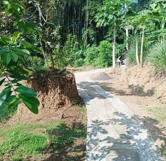 Majatalo Kubu D  Teba