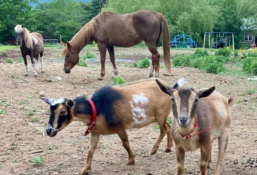 Whispering Birch Bed And Breakfast