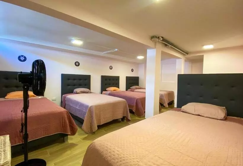 Casa Pandora Hostel Women Only