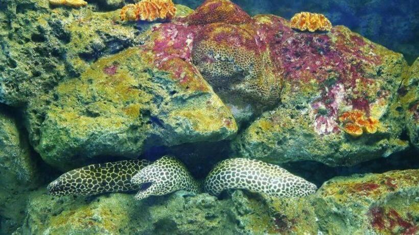 ホテル Rungroj Panich