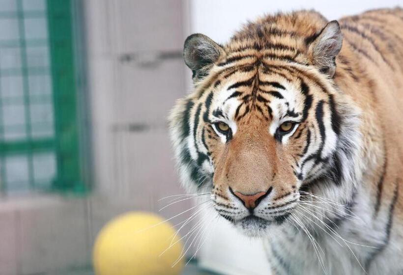 Пансион Faunapark Lipová Lázně