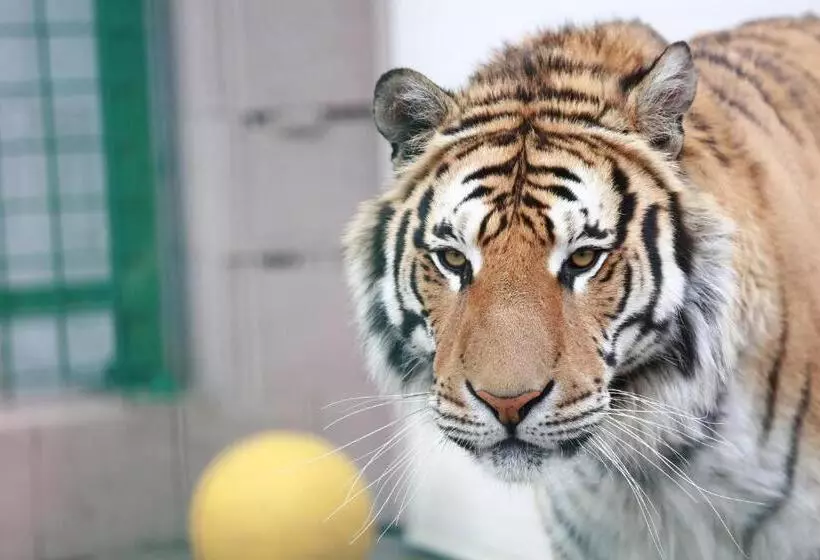 ペンション Faunapark Lipová Lázně