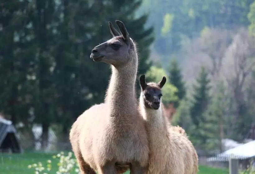 ペンション Faunapark Lipová Lázně