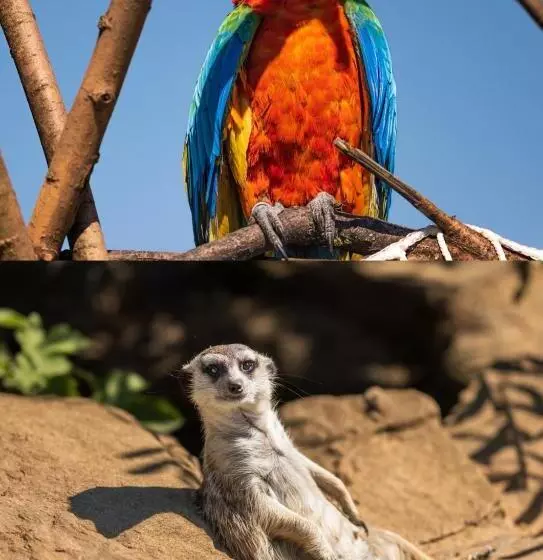 ペンション Faunapark Lipová Lázně