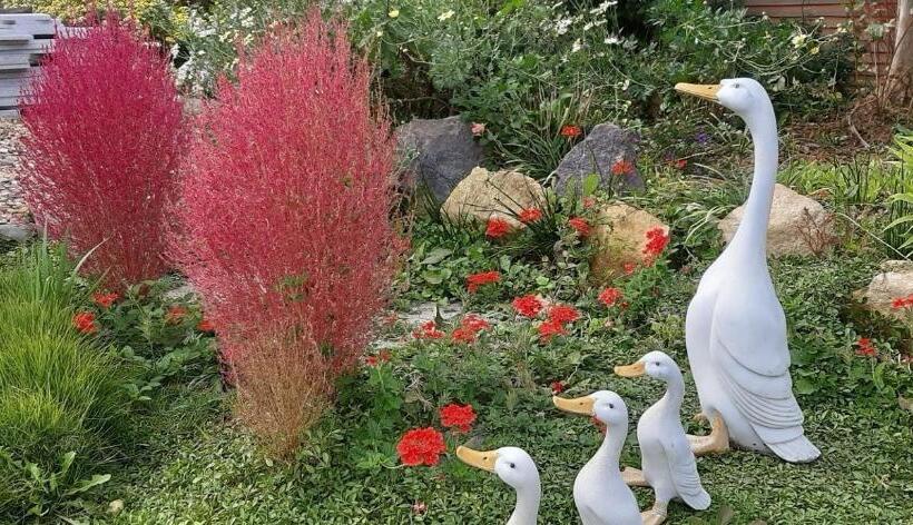 膳宿费 Naju Yoonsunjae Stay