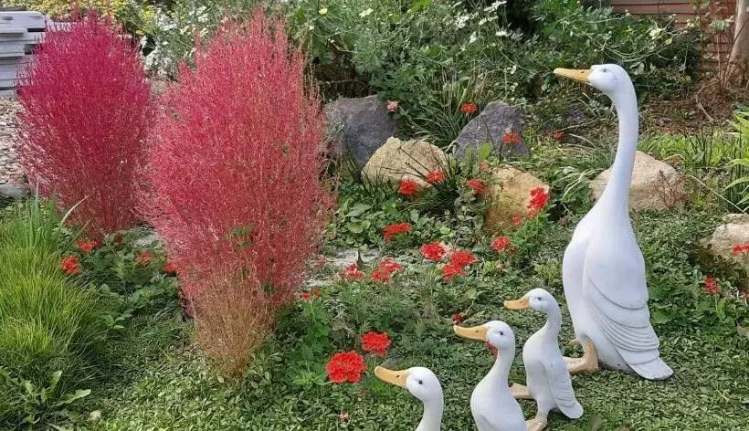 Majatalo Naju Yoonsunjae Stay